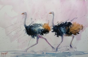 La foulée gracieuse de l