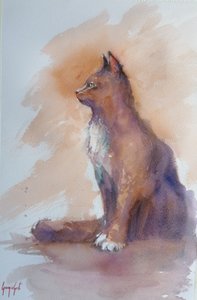 Profil du chat observateur - Giorgio Gosti