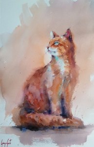 Chat orange à l