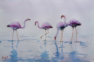 Des flamants roses pataugent - Giorgio Gosti