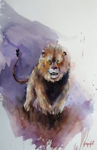 Un lion puissant à l