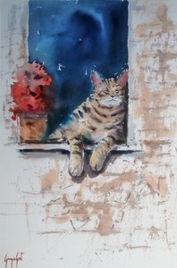 Un chat détendu sur le rebord de la fenêtre - Giorgio Gosti