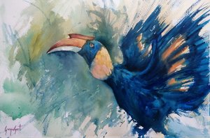 Calao bleu tropical - Giorgio Gosti