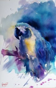 Ara bleu vif
