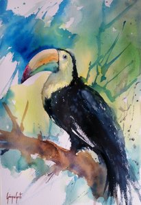Toucan de la jungle aux couleurs vives - Giorgio Gosti