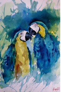 Des aras aux couleurs éclatantes - Giorgio Gosti
