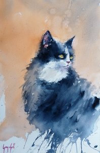 Chat vigilant à l