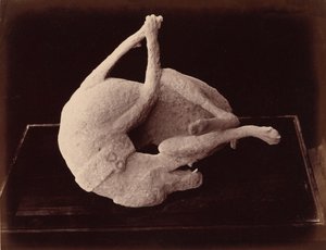 Moulage, Pompéi, c. 1870 (photo) - Giorgio Sommer