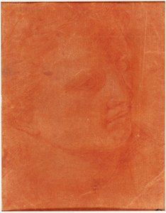 Tête en profil trois-quarts (recto); Jeune homme debout pointant à gauche et croquis de pieds, bras (verso) - Giorgione