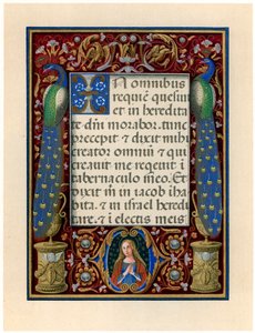 Page de texte avec la Vierge et deux paons, vers 1490 - Giovan Pietro Birago