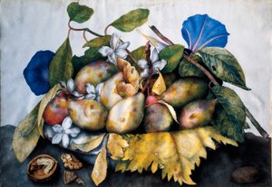 Assiette de prunes, jasmin et noix. Peinture sur parchemin de Giovanna Garzoni (1600-1670) - Giovanna Garzoni