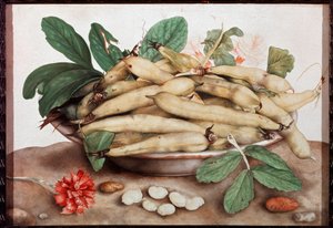 Nature morte avec assiette de haricots