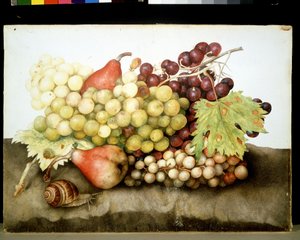 Image inconnue - Giovanna Garzoni