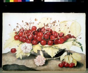 Image inconnue - Giovanna Garzoni