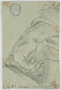 Dessin, étude : Une main gauche en position penchée, vers 1650 - Giovanni Andrea Sirani