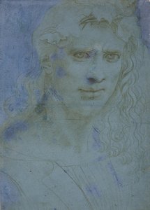Buste de jeune couronné de ronces et de sarments, c. 1495 - Giovanni Antonio Boltraffio