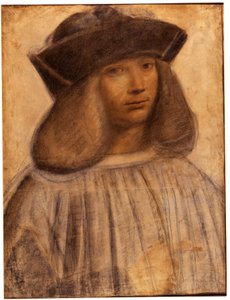 Portrait de Francesco Melzi (v. 1491- 1570) peintre italien, élève et compagnon (amant) de Léonard de Vinci
