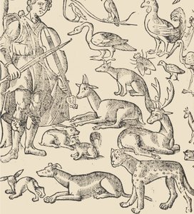 Essempio di recammi, page 12 verso, 1530 - Giovanni Antonio Tagliente