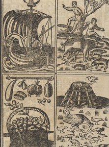 Essempio di recammi, page 9 recto, 1530 - Giovanni Antonio Tagliente