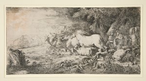 Les animaux entrant dans l