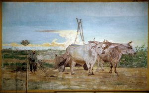 Le fumier animal collecté