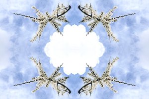 Unnatural 115 - Giovanni Cafagna