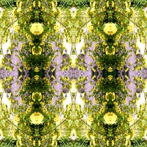 Unnatural 150 - Giovanni Cafagna