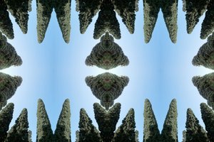 Unnatural 169 - Giovanni Cafagna
