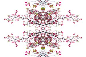 Unnatural 200 - Giovanni Cafagna