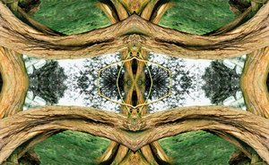 Non naturel 37 - Giovanni Cafagna
