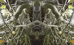 Non naturel 41 - Giovanni Cafagna
