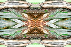 Non naturel 64 - Giovanni Cafagna