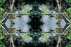 Unnatural 73 - Giovanni Cafagna