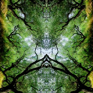Unnatural 75 - Giovanni Cafagna