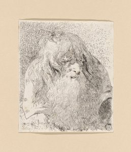 Vieil homme avec une barbe et des cheveux longs, de la Raccolta di Teste (Collection de têtes) - Giovanni Domenico Tiepolo