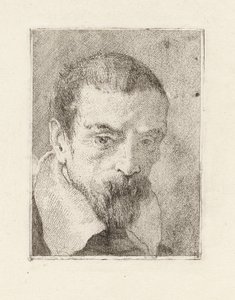 Vieil homme avec une barbe et une tête nue, de la Raccolta di Teste (Collection de têtes)