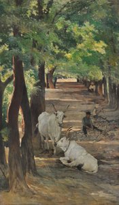 Avenue avec bœufs et casseurs de pierres, vers 1875 - Giovanni Fattori