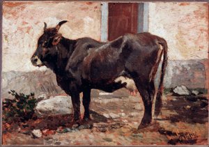 Vache brune