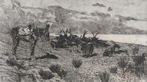 Âne et chèvres sur un rivage en hiver - Giovanni Fattori