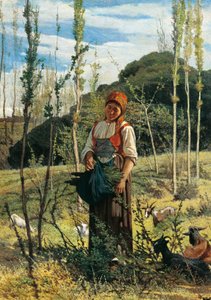 Fermier dans les bois