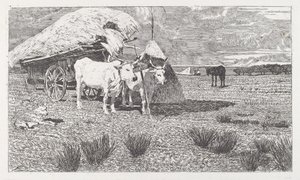 Bœufs attelés à une charrette (Maremme) - Giovanni Fattori