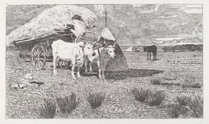 Bœufs attelés au chariot (Maremma) - Giovanni Fattori