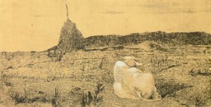 Pio Bove (Bœuf pieux ou paisible)