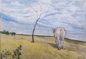 Cheval blanc - Giovanni Fattori
