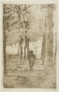 Promenade boisée avec figure