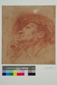 Étude pour la tête du prophète Aggée - Giovanni Francesco Barbieri