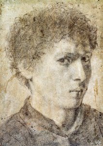 Tête de jeune garçon, dessin de Gian Girolamo Savoldo