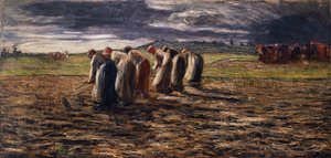 La Récolte des pommes de terre