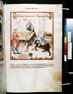 Theatrum sanitatis par Ububchasym de Baldach: 