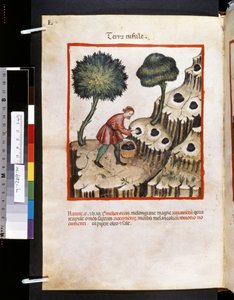 Theatrum sanitatis par Ububchasym de Baldach : 